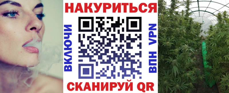Где купить наркотики Вольск Бошки Шишки  мега онион  Гашиш  Меф мяу мяу  Cocaine  А ПВП 