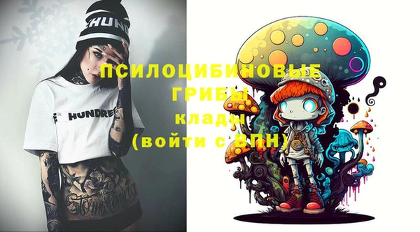 дмт Беломорск